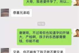 枝江融资清欠服务